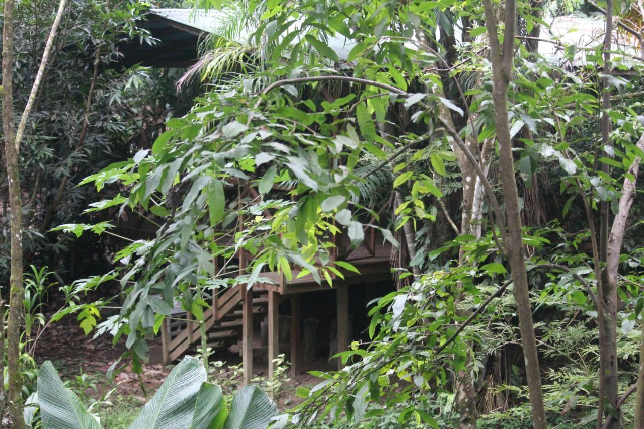 Hotel Iguana Libre à Dominical Extérieur photo