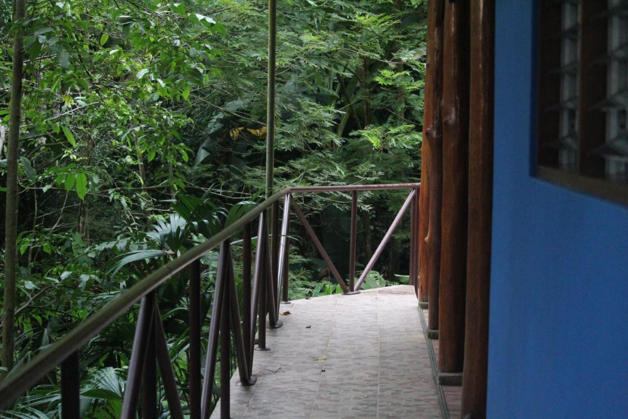 Hotel Iguana Libre à Dominical Extérieur photo