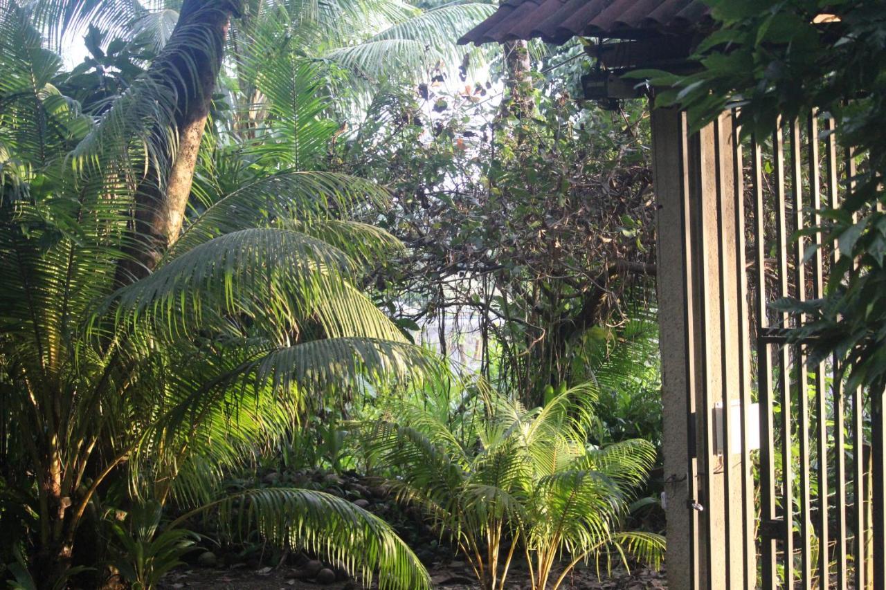 Hotel Iguana Libre à Dominical Extérieur photo