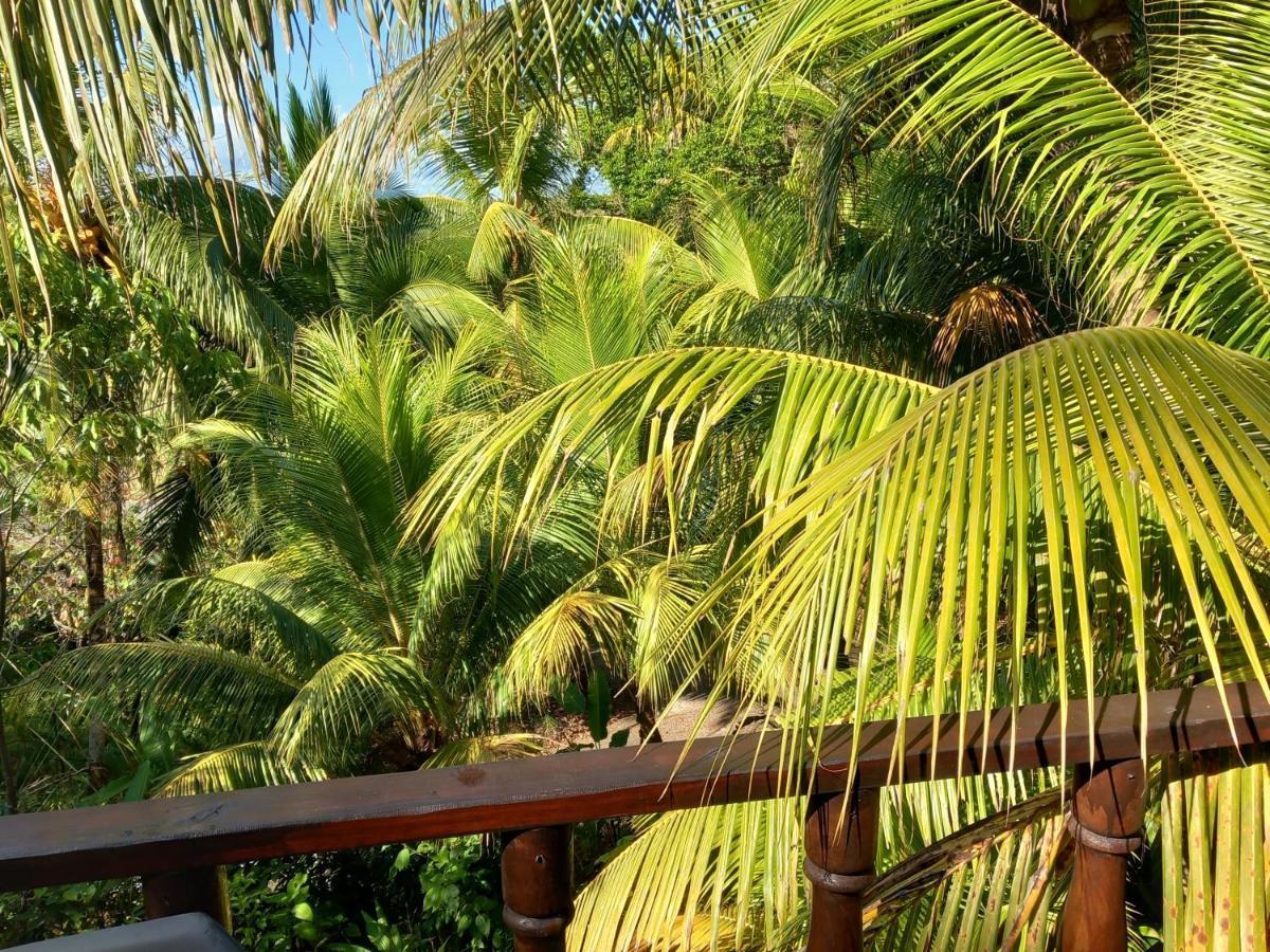 Hotel Iguana Libre à Dominical Extérieur photo